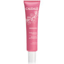 Увлажняющий матирующий флюид Caudalie Vinosource Moisturising Matifying Fluid 40 мл Увлажняющий матирующий флюид Caudalie Vinosource Moisturising Matifying Fluid 40 мл