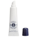 L'Occitane Shea Moisturizing Organic Lip Balm (12ml) L'Occitane Shea Moisturizing Organic Lip Balm (12ml)
