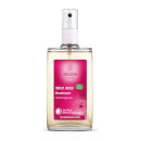 Weleda Women's Wild Rose Deodorant 100ml Weleda Women's Wild Rose Deodorant 100ml