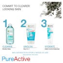 garnier clay cleanser