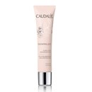 Caudalie Resvératrol Lift Face lifting moisturizer broad spectrum SPF20 (1.4oz) Caudalie Resvératrol Lift Face lifting moisturizer broad spectrum SPF20 (1.4oz)