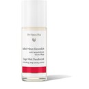 Dr. Hauschka Sage and Mint Deodorant (50ml) Dr. Hauschka Sage and Mint Deodorant (50ml)