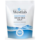 Sal del Mar Merto de Westlab 5 kg Sal del Mar Merto de Westlab 5 kg