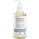 Organic Surge Fresh Ocean Hand and Body Wash (250ml) Organic Surge Fresh Ocean Hand and Body Wash (250ml)
