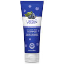 yes to Blueberries Smooth and Shine Shampoo for Frizzy Hair 280ml yes to Blueberries Smooth and Shine Shampoo for Frizzy Hair 280ml