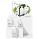 Paul Mitchell Tea Tree Scalp Care Anti-Thinning Regimen Kit Paul Mitchell Tea Tree Scalp Care Anti-Thinning Regimen Kit