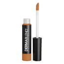 Dermablend Smooth Liquid Camo Concealer (Various Shades) Dermablend Smooth Liquid Camo Concealer (Various Shades)
