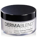 Dermablend Loose Setting Powder (Various Shades) Dermablend Loose Setting Powder (Various Shades)