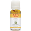 Burt's Bees Anti-Blemish Targeted Spot Treatment 7.5ml Burt's Bees Anti-Blemish Targeted Spot Treatment 7.5ml