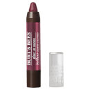Burt's Bees 100% Natural Gloss Lip Crayon 2.83g (Various Shades) Burt's Bees 100% Natural Gloss Lip Crayon 2.83g (Various Shades)