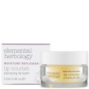 Baume hydratant et repulpant pour lèvres Elemental Herbology Baume hydratant et repulpant pour lèvres Elemental Herbology