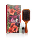 Aveda Exclusive Party Hair Essentials Set Aveda Exclusive Party Hair Essentials Set