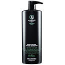 Paul Mitchell Awapuhi Wild Ginger Moisturizing Lather Shampoo 1000ml Paul Mitchell Awapuhi Wild Ginger Moisturizing Lather Shampoo 1000ml