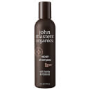 John Masters Organics Shampoo for Damaged Hair with Honey & Hibiscus 177ml John Masters Organics Shampoo for Damaged Hair with Honey & Hibiscus 177ml