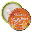 Burt's Bees 100% Natural Moisturizing Lip Butter with Orange Blossom and Pistachio, 11.3g Burt's Bees 100% Natural Moisturizing Lip Butter with Orange Blossom and Pistachio, 11.3g