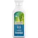 JASON Biotin Shampoo JASON Biotin Shampoo