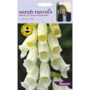 Sarah Ravens Foxglove Alba Seeds
