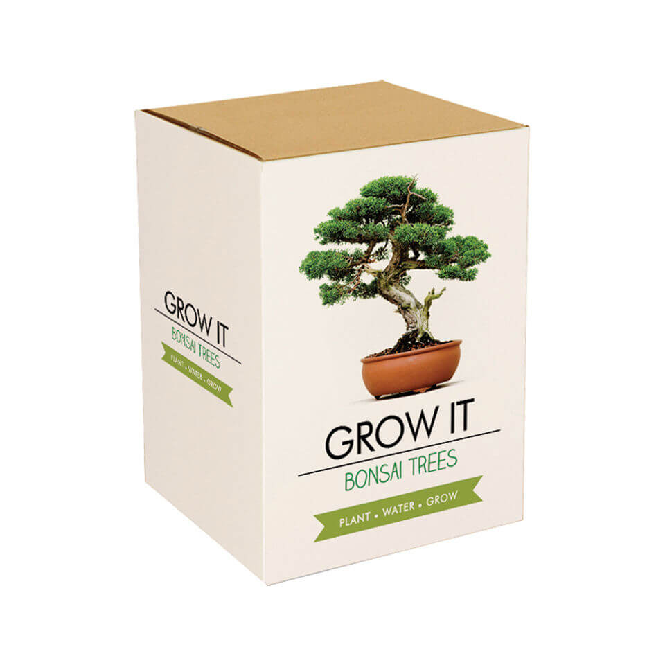 Grow It Bonsai Tree - IWOOT UK Grow It Bonsai Tree - IWOOT UK