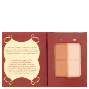 Набор из бронзатора и хайлайтера Bourjois Delice De Poudre Bronzer Duo