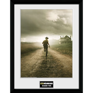 The Walking Dead Season 2 - 16 x 12 Inches Framed Photographic