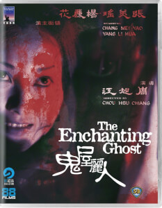 The Enchanting Ghost
