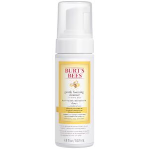 Burt's Bees Skin Nourishment Gentle Foaming Cleanser 141.9ml