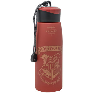 Harry Potter Trinkflasche 550ml
