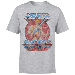 T-Shirt Homme Effet Abîmé - Les Maîtres de l'univers - Gris