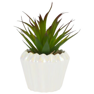 Large Plant in Geometric Pot - Pearlescent