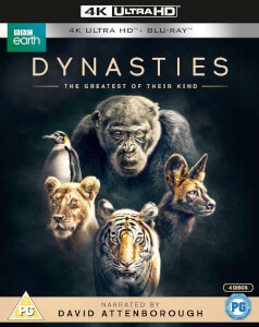 Dynasties - 4K Ultra HD
