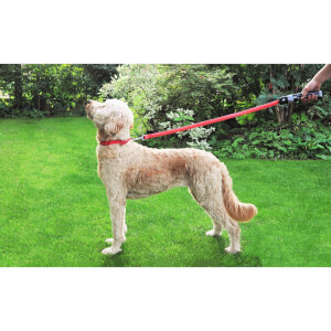 star wars lightsaber dog leash