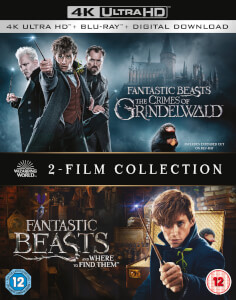Blu Ray Dvd Les Animaux Fantastiques Zavvi France