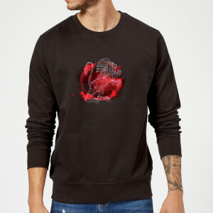 Harry Potter Gryffindor Geometric Sweatshirt - Black