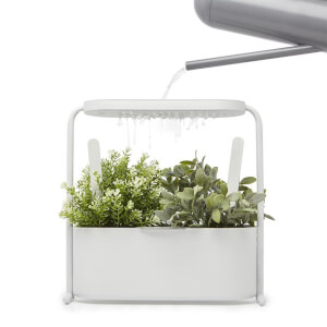 Umbra Giardino Herb Planter