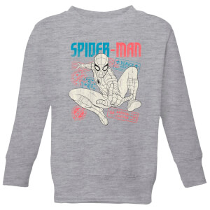 Spider-Man Far From Home Distressed Passport Kids' Sweatshirt - Grey
