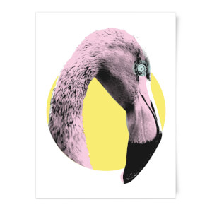 Flamingo With Circular Background Art Print