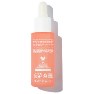 REN Perfect Canvas Clean Primer 30ml