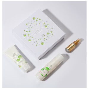 Wella Professionals Elements Gift Set