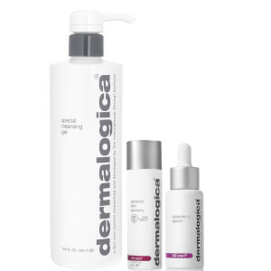 Dermalogica Brighten and Protect Bundle