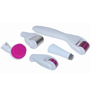 Beauty ORA Microneedle & Ice Roller Set