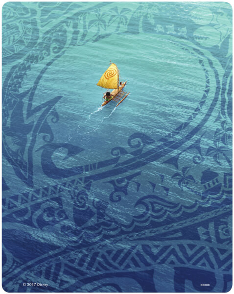 Vaiana, la Légende du bout du Monde [Walt Disney - 2016] - Page 21 11378682-1834458449459097