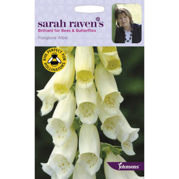 Sarah Ravens Foxglove Alba Seeds Homebase