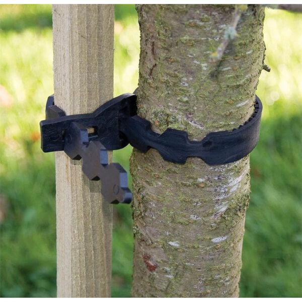 Tree Tie 60cm Homebase