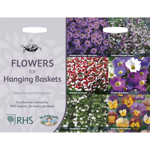 RHS Flowers for Hanging Baskets Collection Homebase