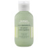 Aveda Pure Abundance Hair Potion (20g) Aveda Pure Abundance Hair Potion (20g)