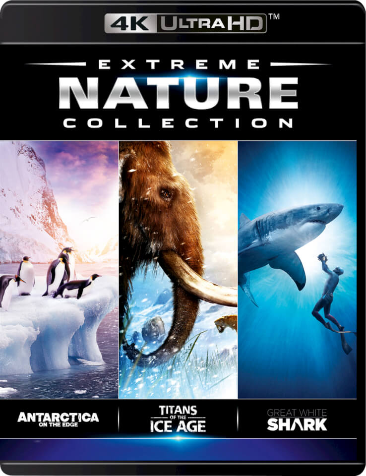 Sony Movie Studio Hd