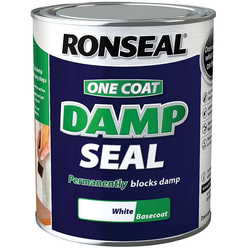 Ronseal White One Coat AntiDamp Paint 750ml Homebase