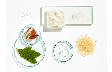 Ingredientes cuidado del cabello