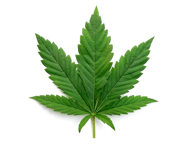CBD