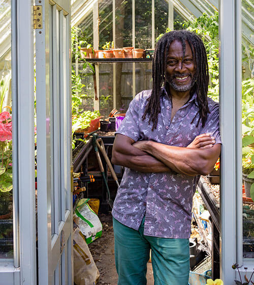 Lockdown boost for birds and bees